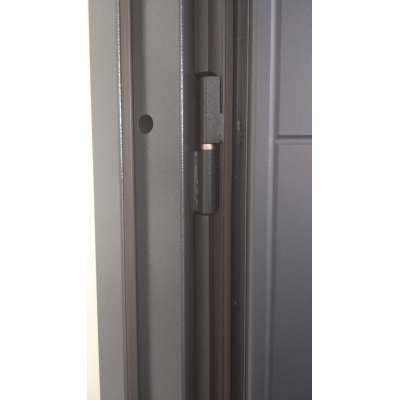 Вхідні двері в будинок - 960х2050 праві