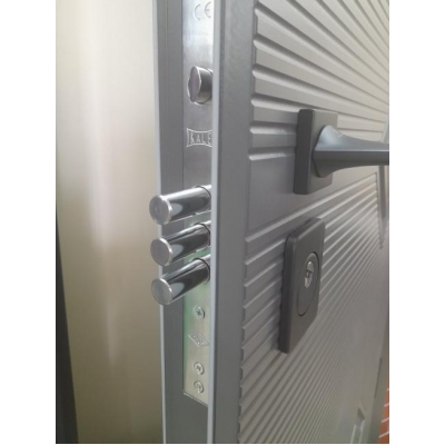 Вхідні двері в квартиру Гранж-21 - 860х2050 праві